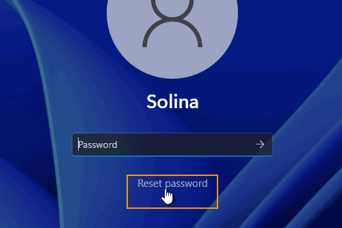 open password reset link