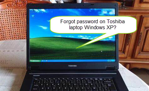 forgot password on Toshiba laptop Windows XP
